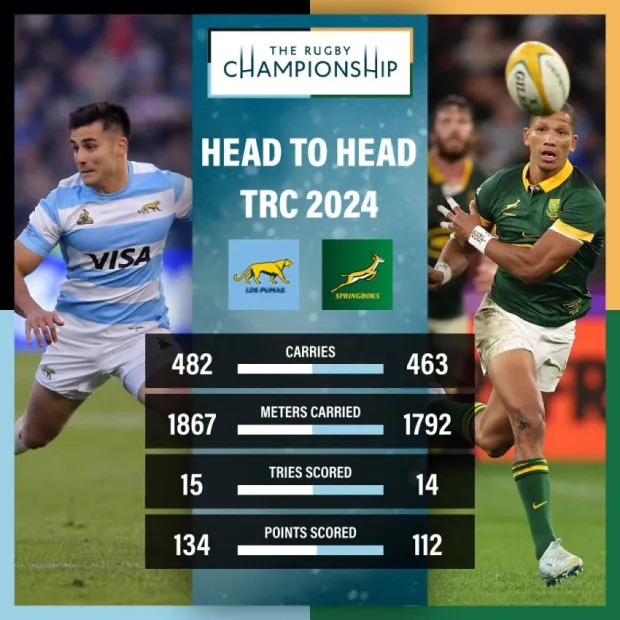 Pumas v Boks head to head 2024