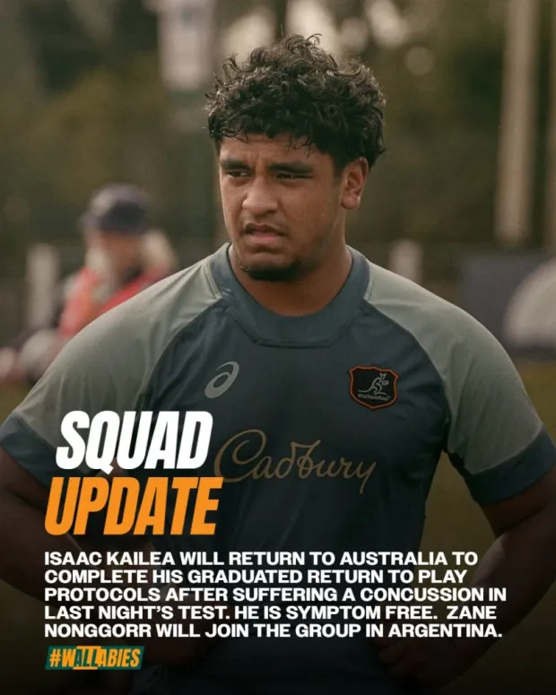 Wallaby squad update